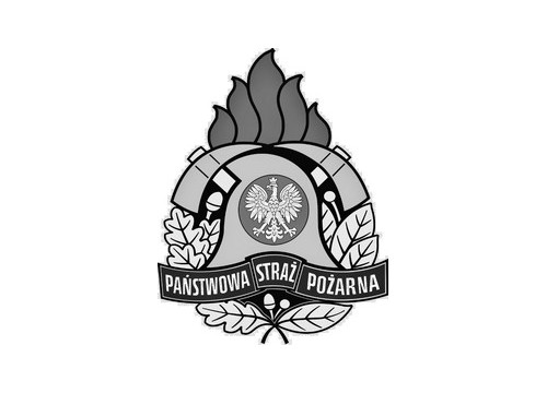 PAŃSTWOWA STRAŻ POŻARNA W BIESKU-BIAŁEJ